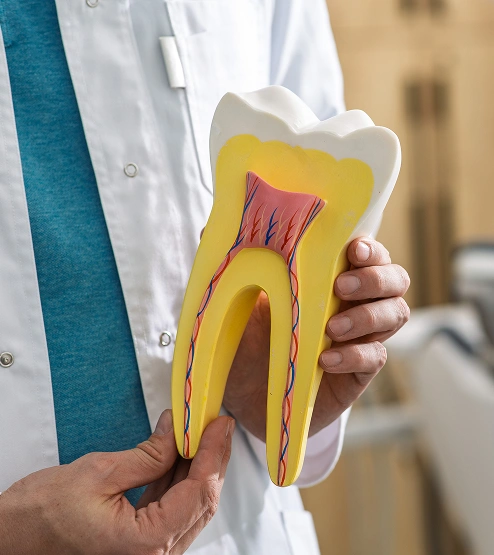 Dental implant placement at Bespoke Dental Newnan in Newnan, GA, restoring missing teeth with a strong, natural-looking solution.